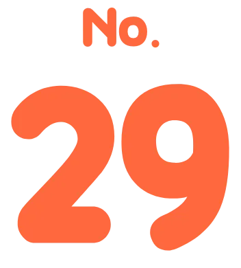 No.29